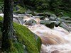 Šumava